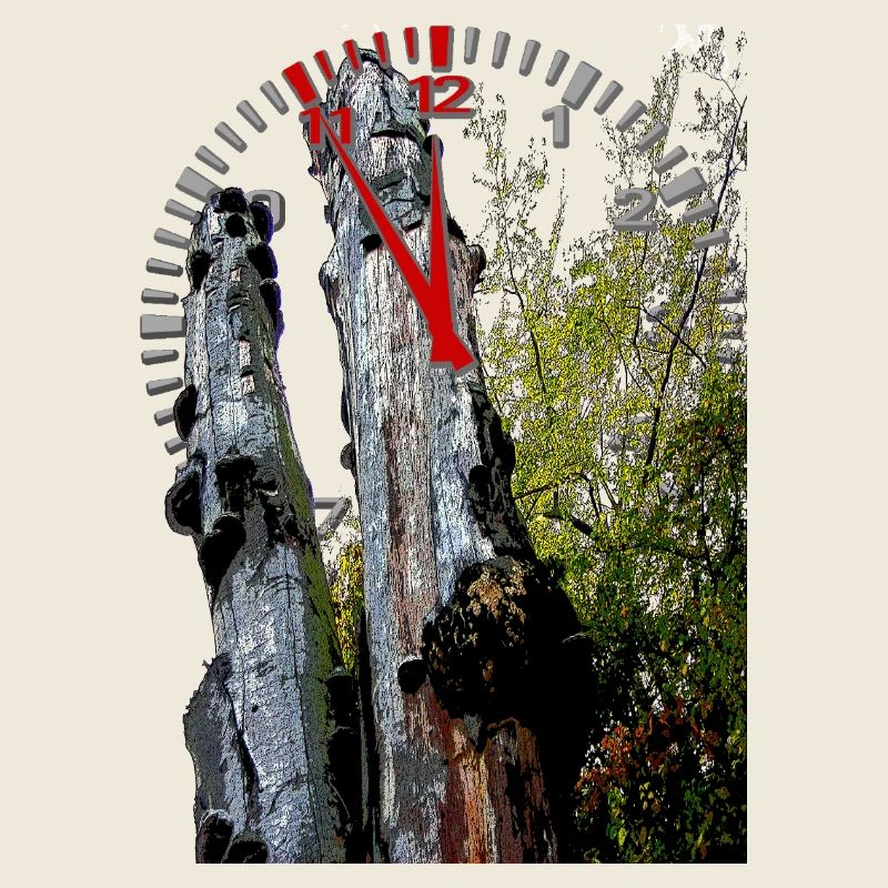 Timestamp on tree trunk 5 to 12