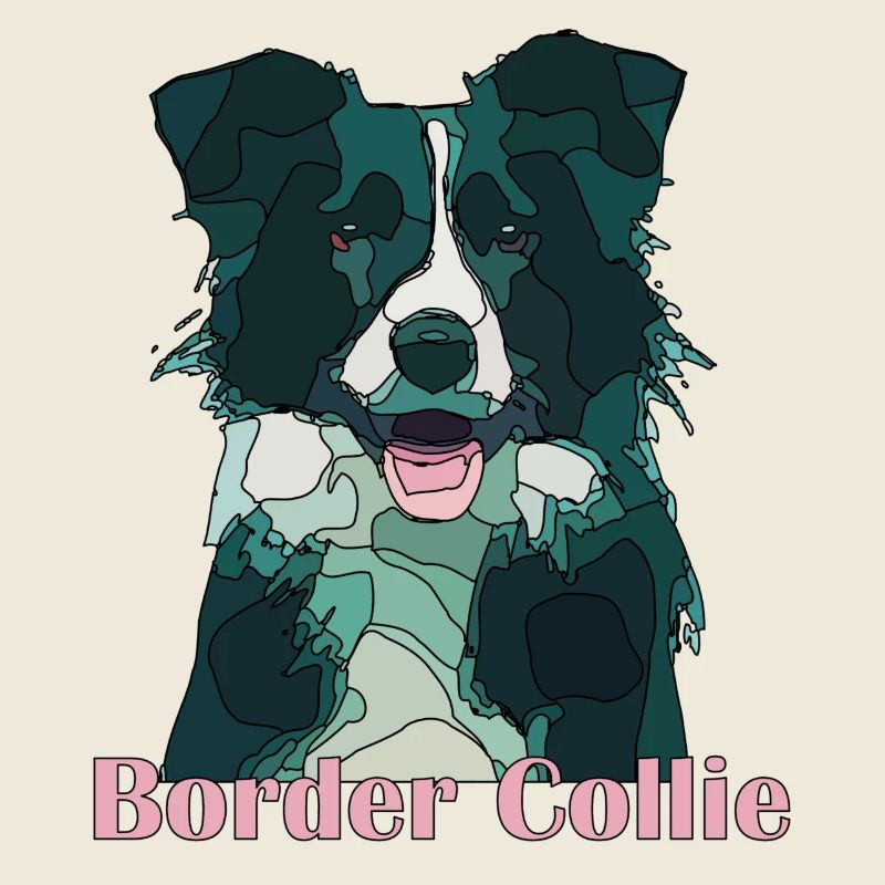 bordercollie