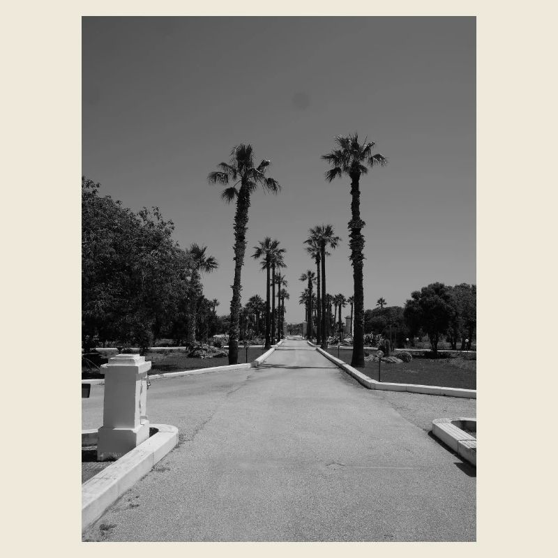 Sicilian beach road with palm trees