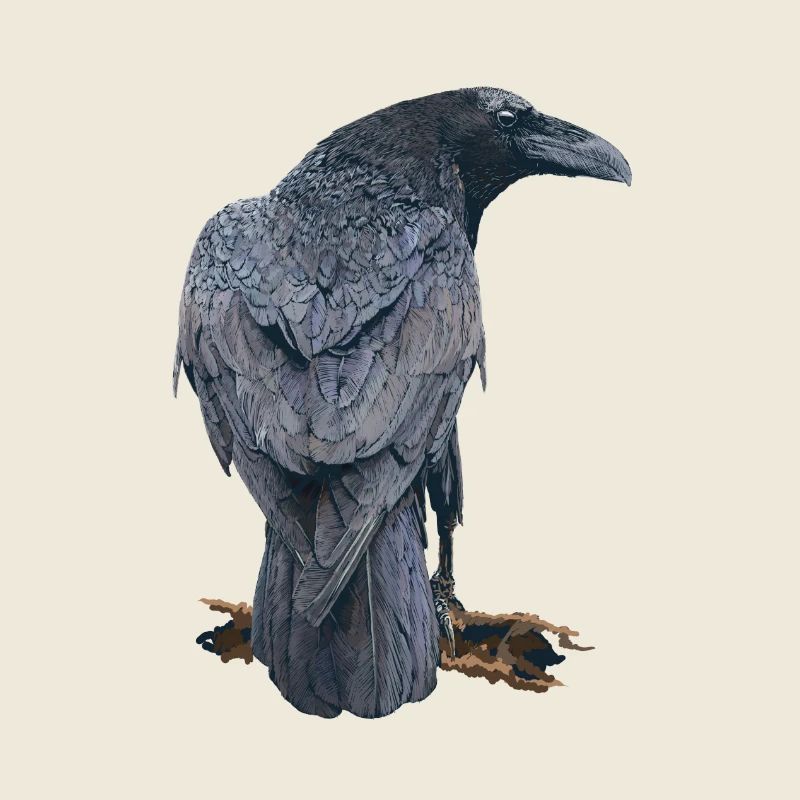 Crow