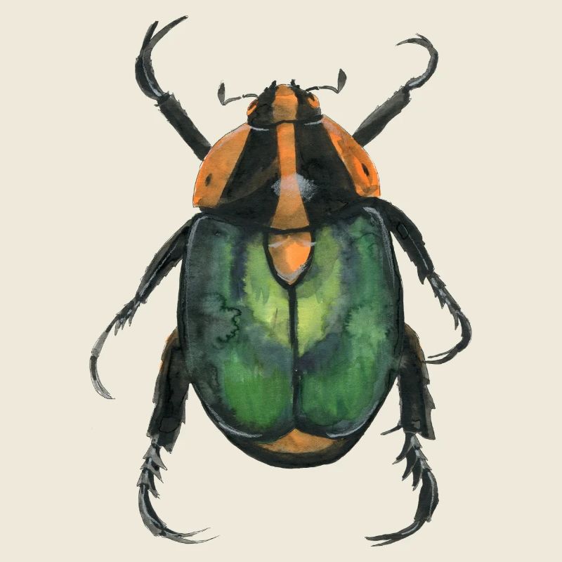 Kaefer2