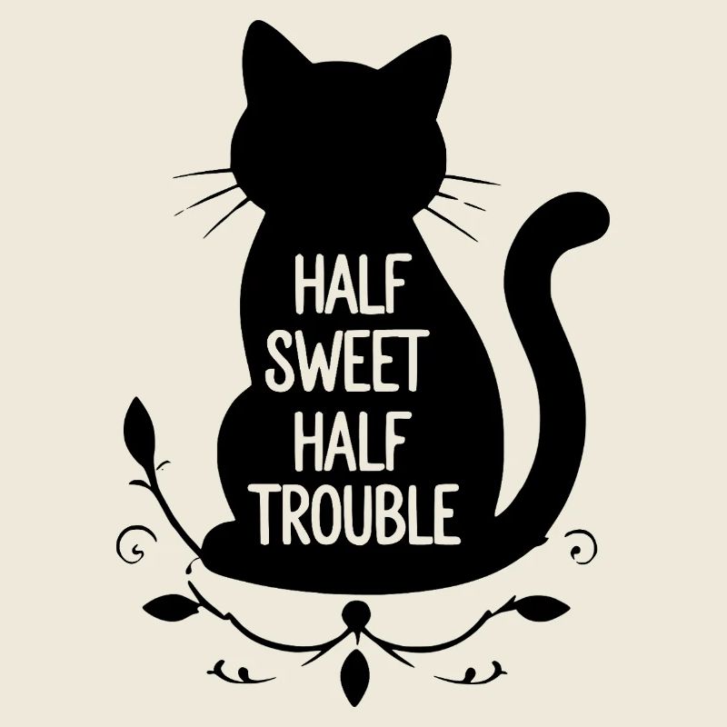 Chat noir mi-doux mi-trouble