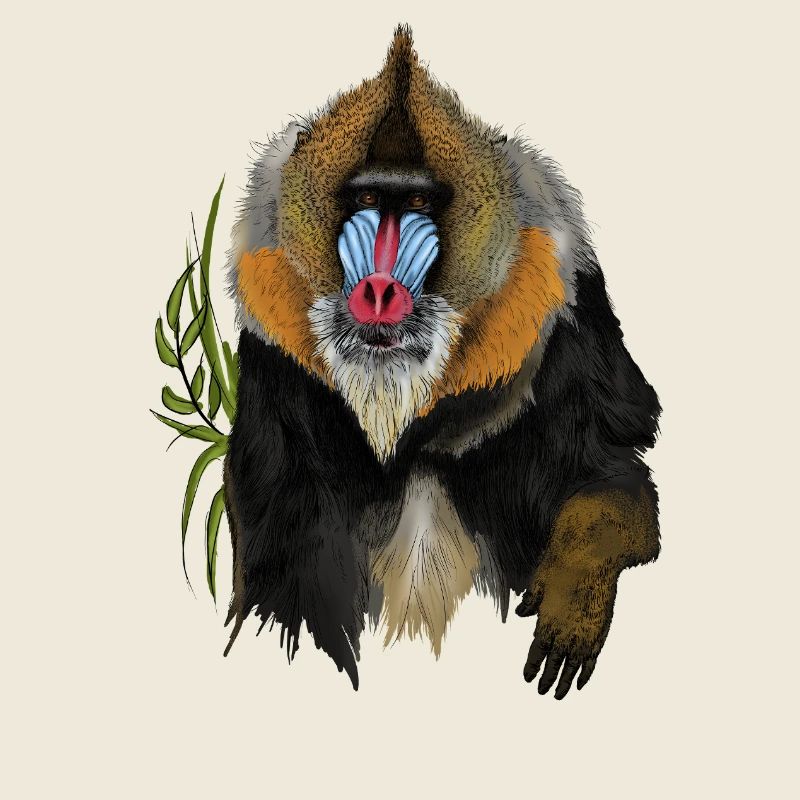 Mandrill