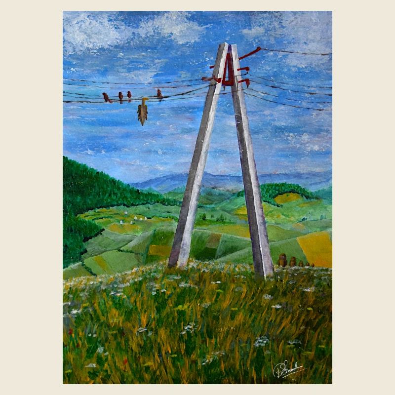 Reflections on Rural Power Lines