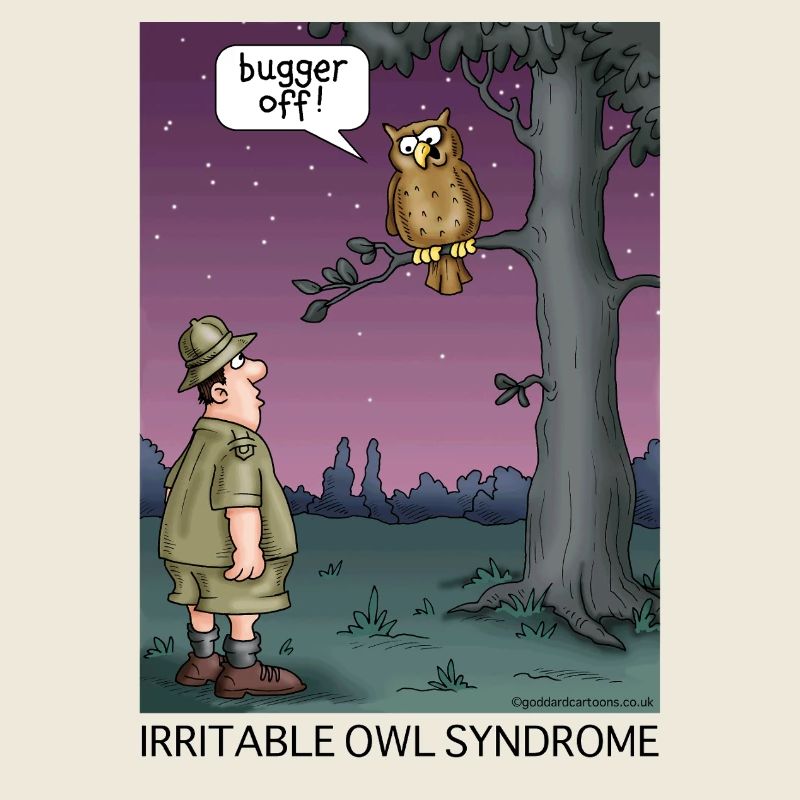 Reizbar-Eulen-Syndrom