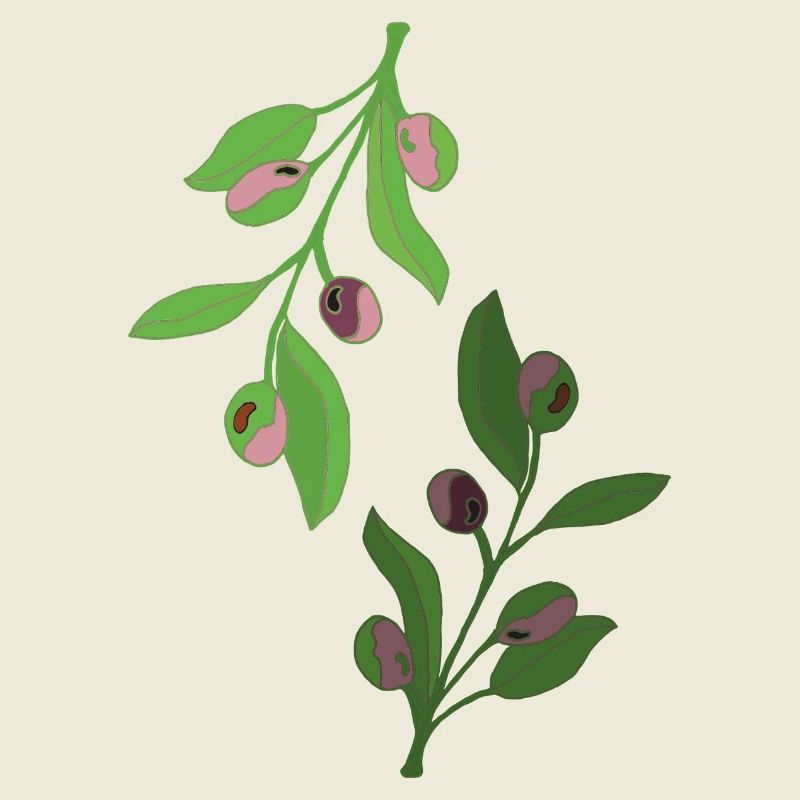 branches d’olivier, vert rose