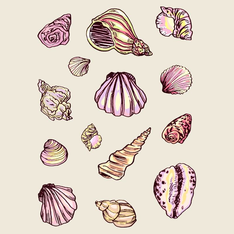 MOULES