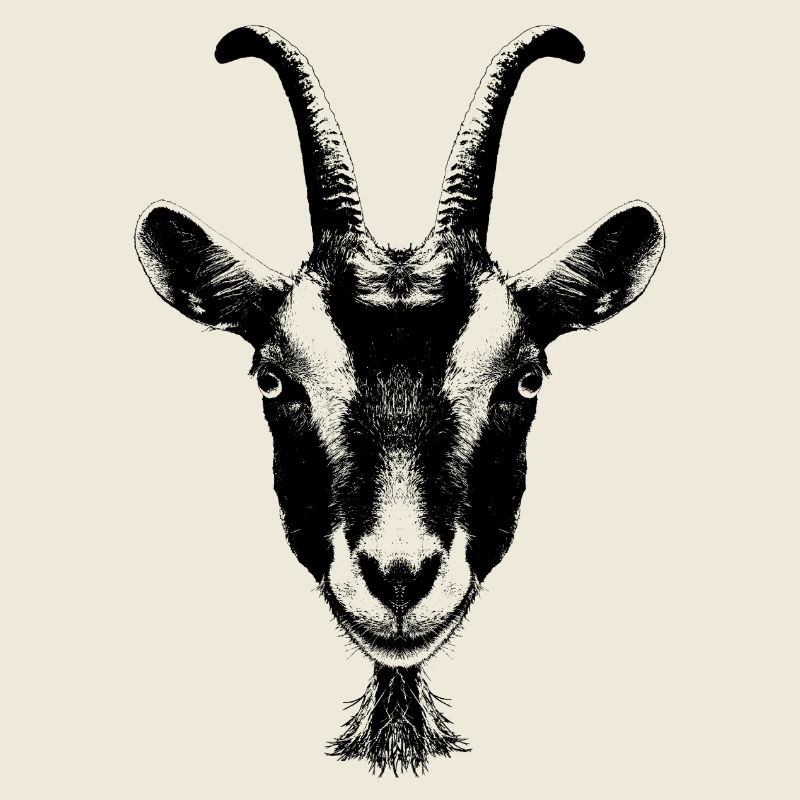 Portrait d’une chèvre