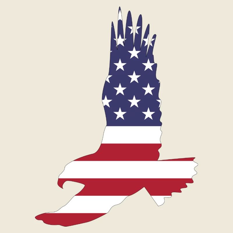 Amérique Etats-Unis Drapeau Stars and Stripes Eagle