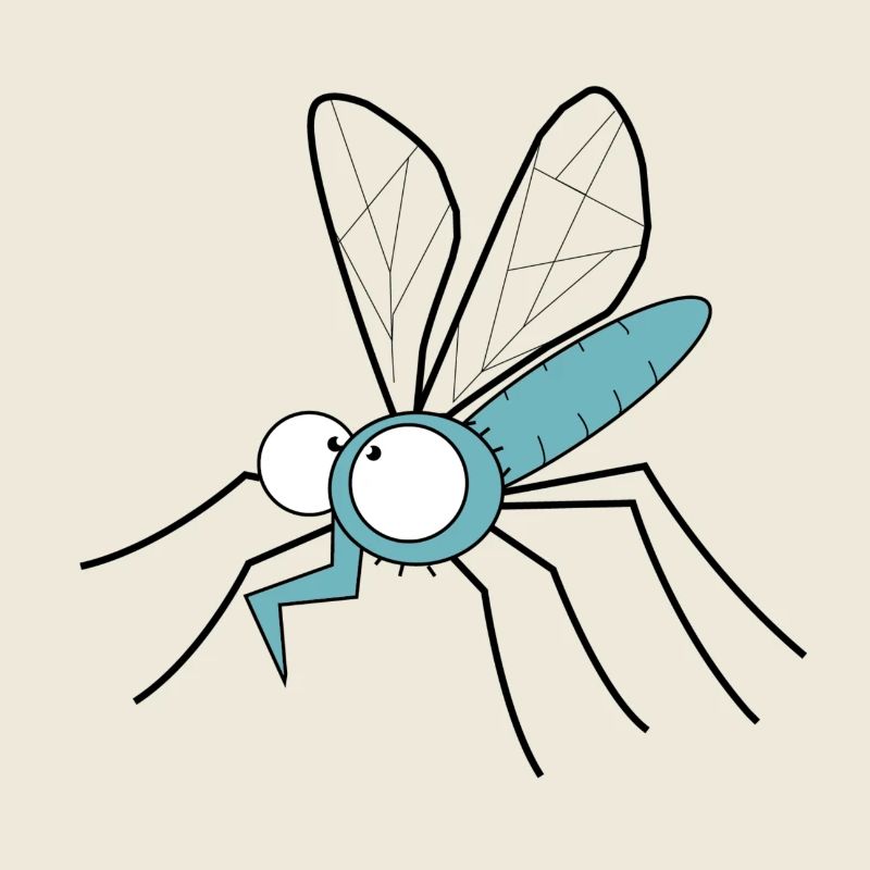 moustique piqûre de peste de moustique