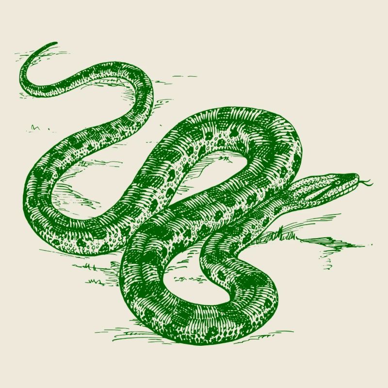 Serpent vert