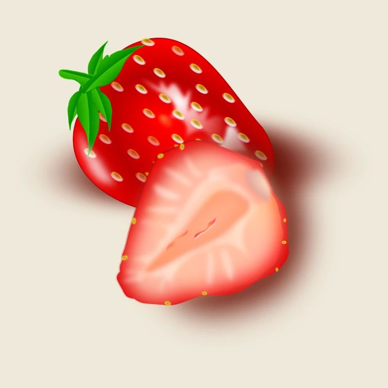 Strawberry Cutaway Illustration
