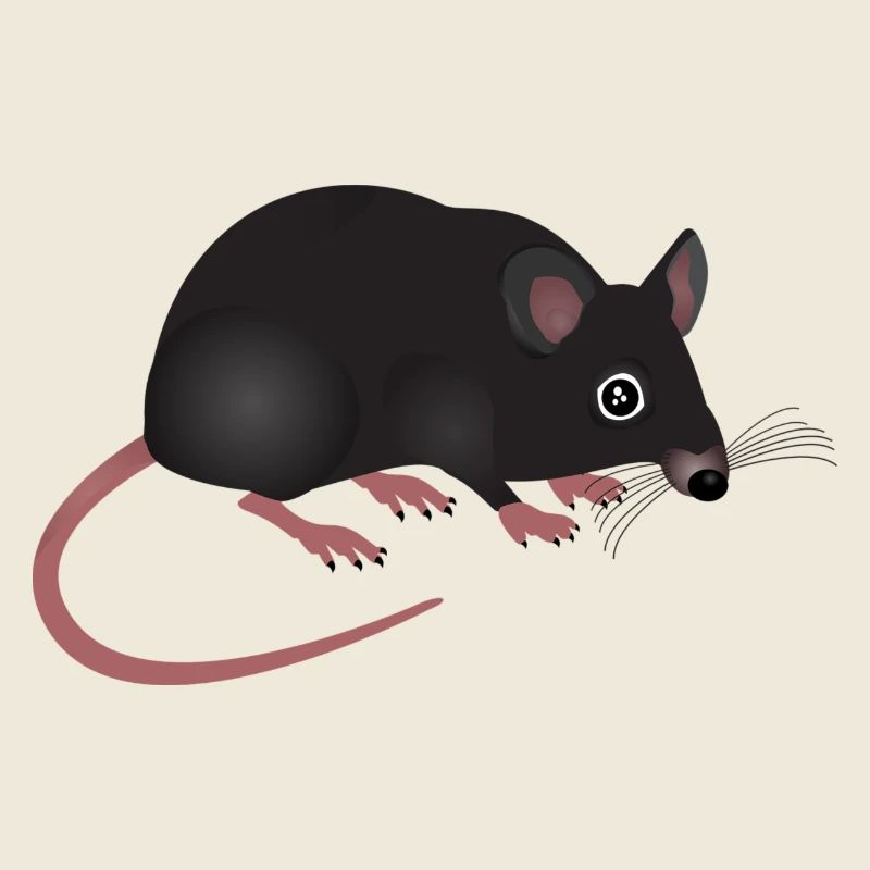 rat