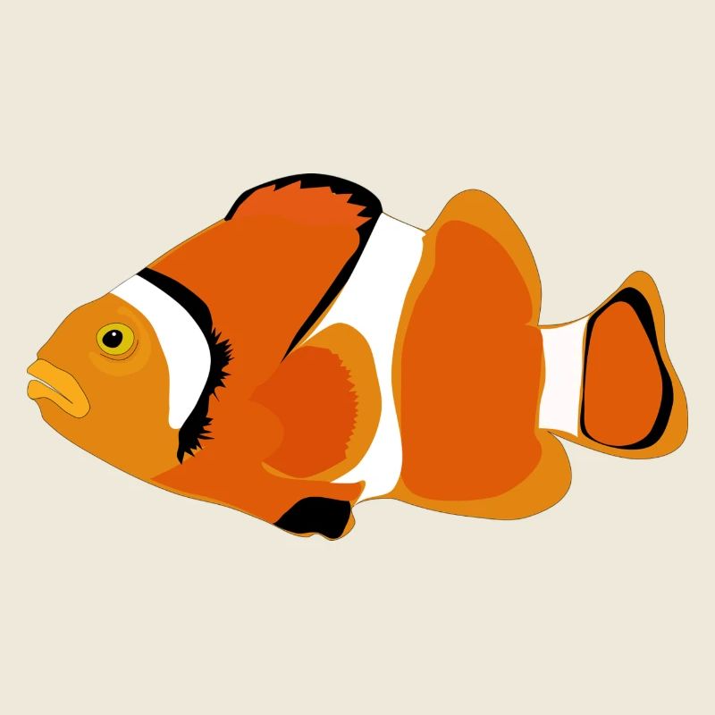 Clownfisch