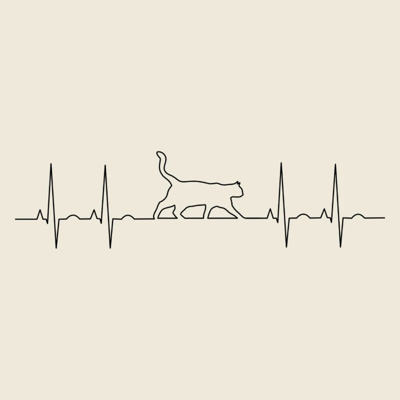 EKG Katze