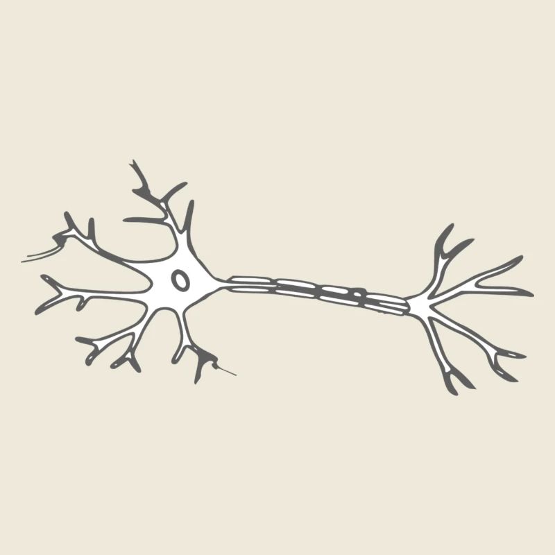 Neuron