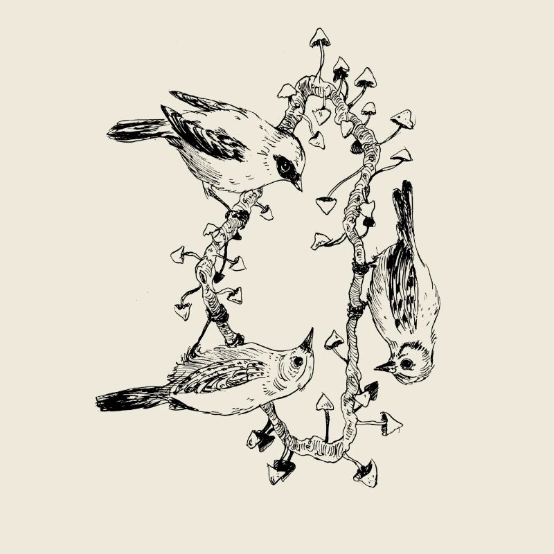 Trio d'oiseaux / champignons / arbre