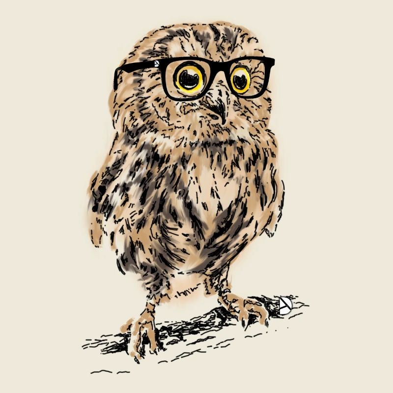 AD Owl