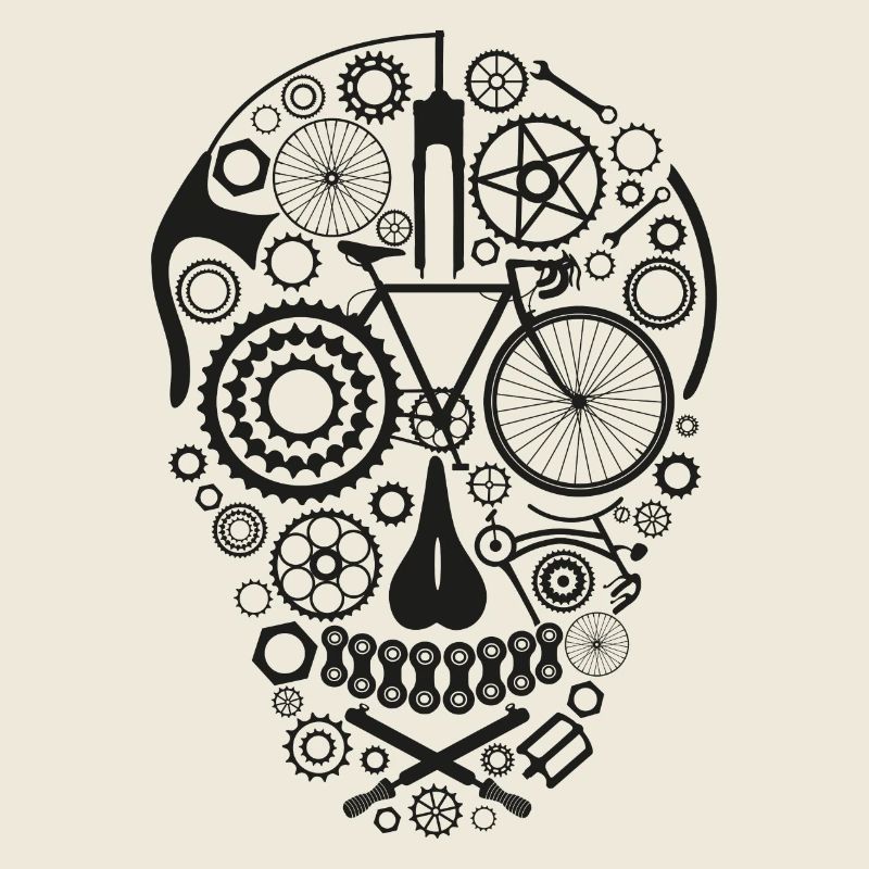 Bicycle Skull black
