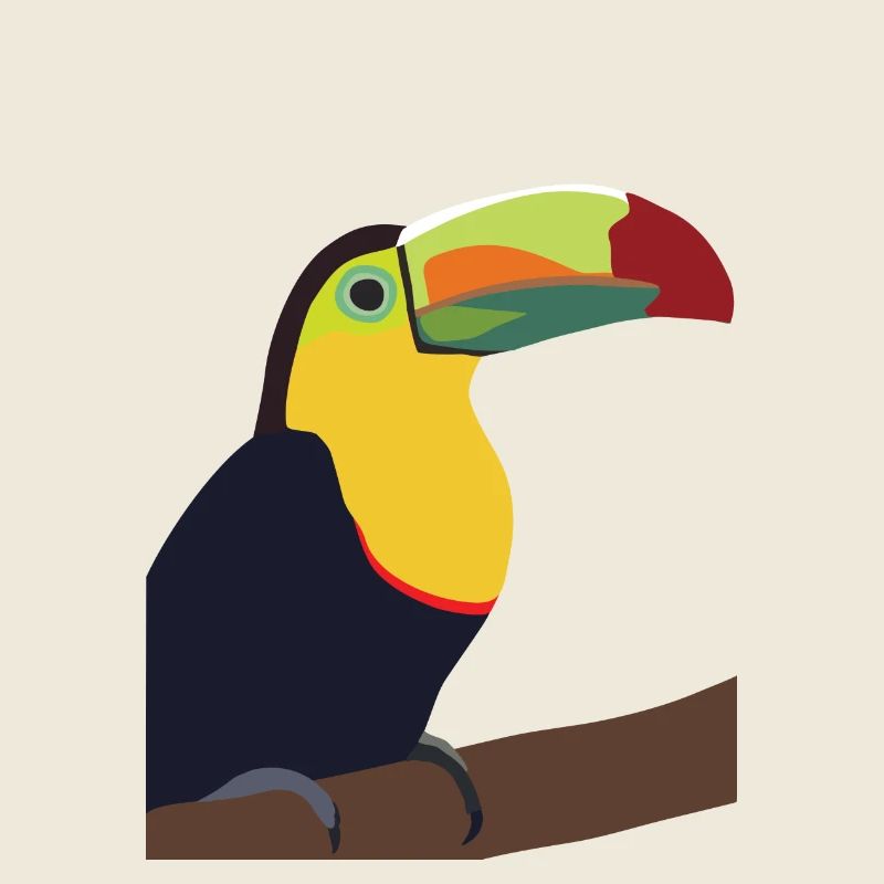 Timmy, der Toucan