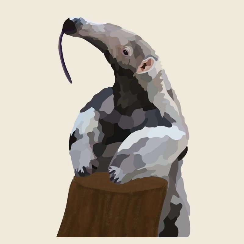 Antonio, l’ours fourmi