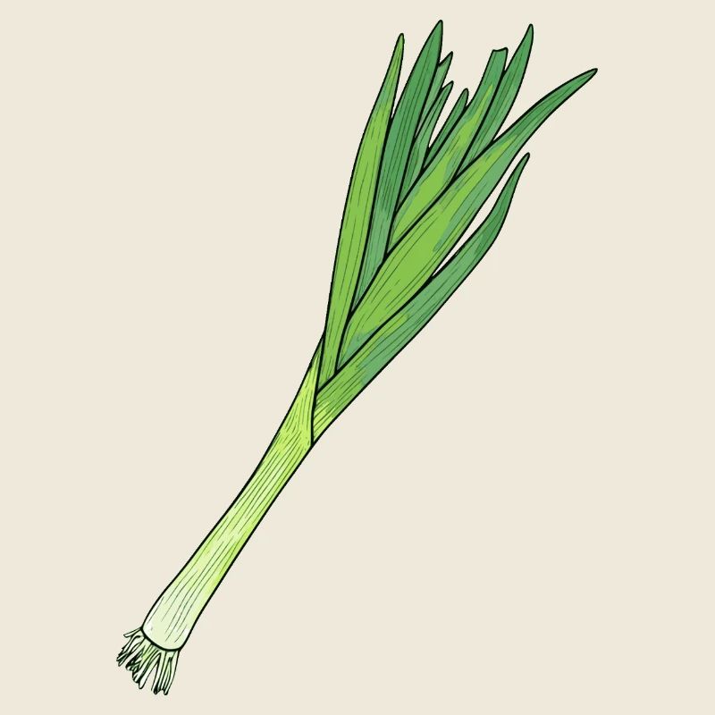 Leek
