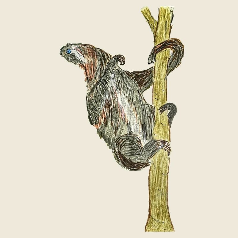 Oeuvre de singe sur arbre