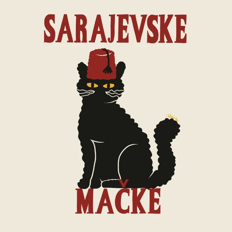 Chat Sarajevo Fez