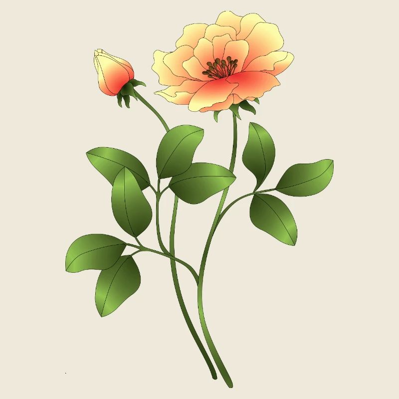 Blume