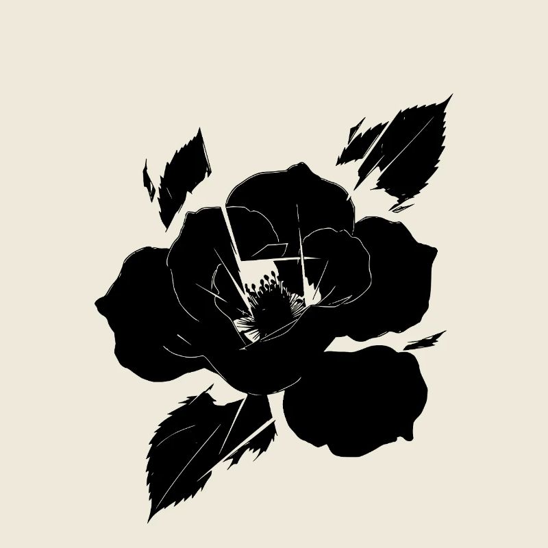 Rose noire fragmentée