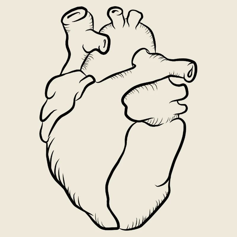 Anatomical heartline print
