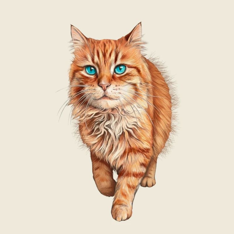 Blue-Eyed Orange Cat