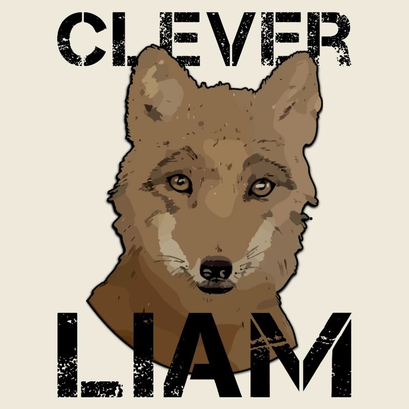 L’anniversaire de Liam Liam