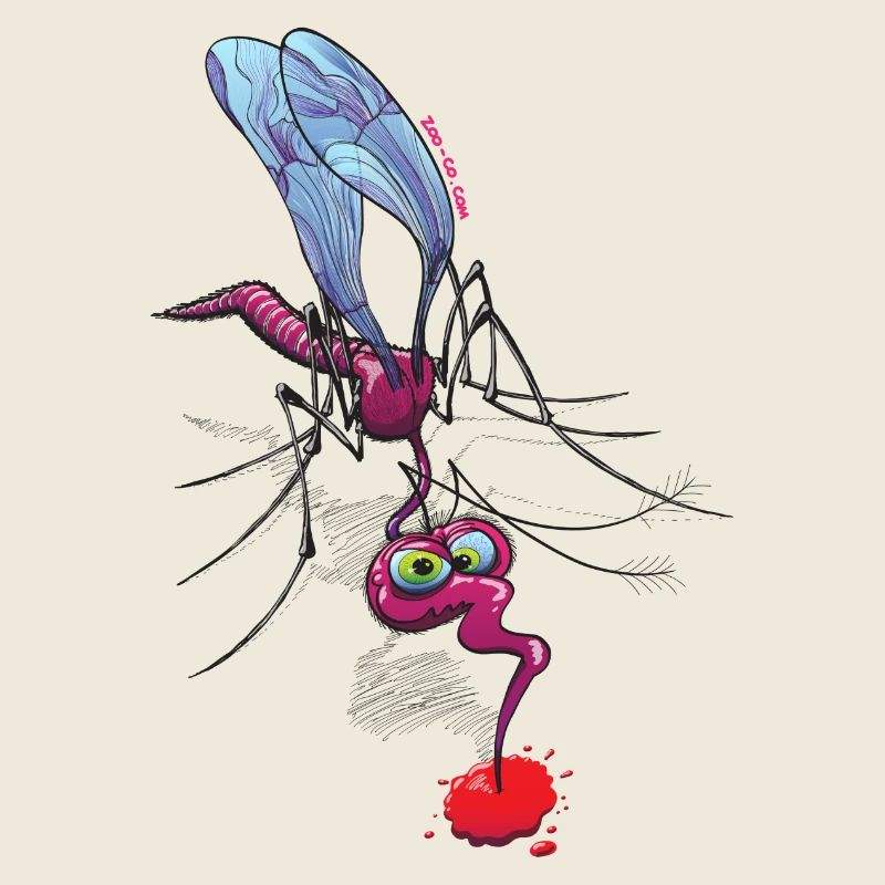 Mosquito Sucking Blood