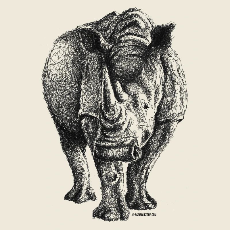 Scribbled Rhino