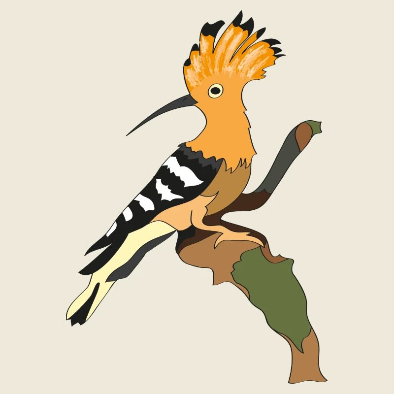 Hoopoe