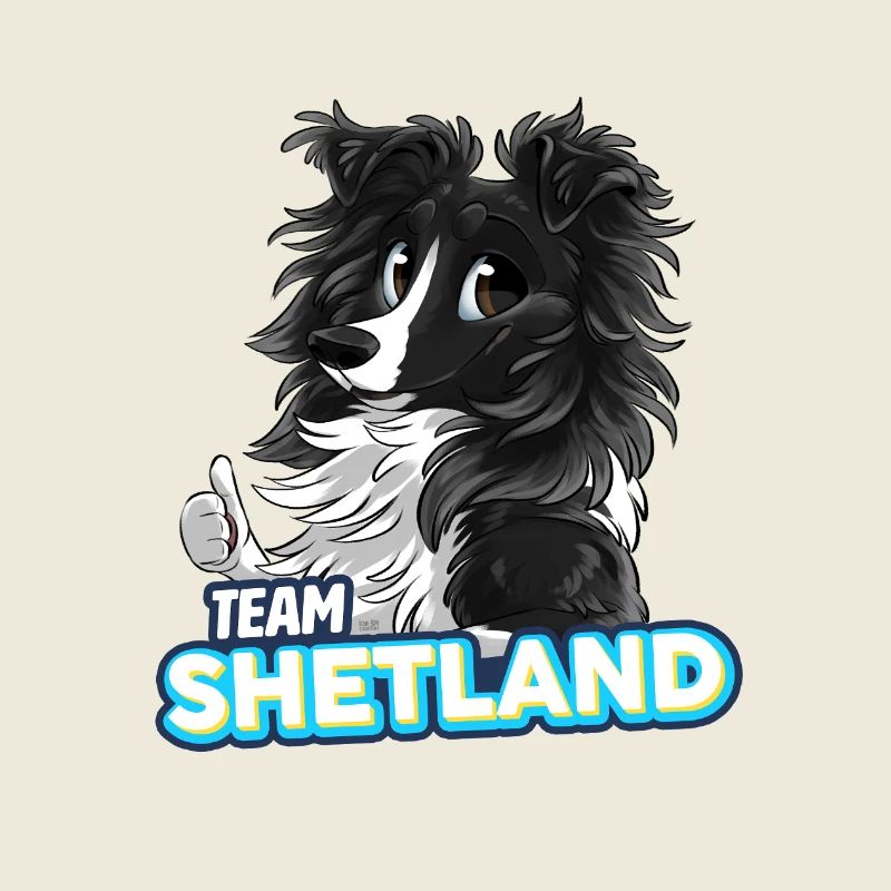 TEAM Shetland - Noir Bicolore