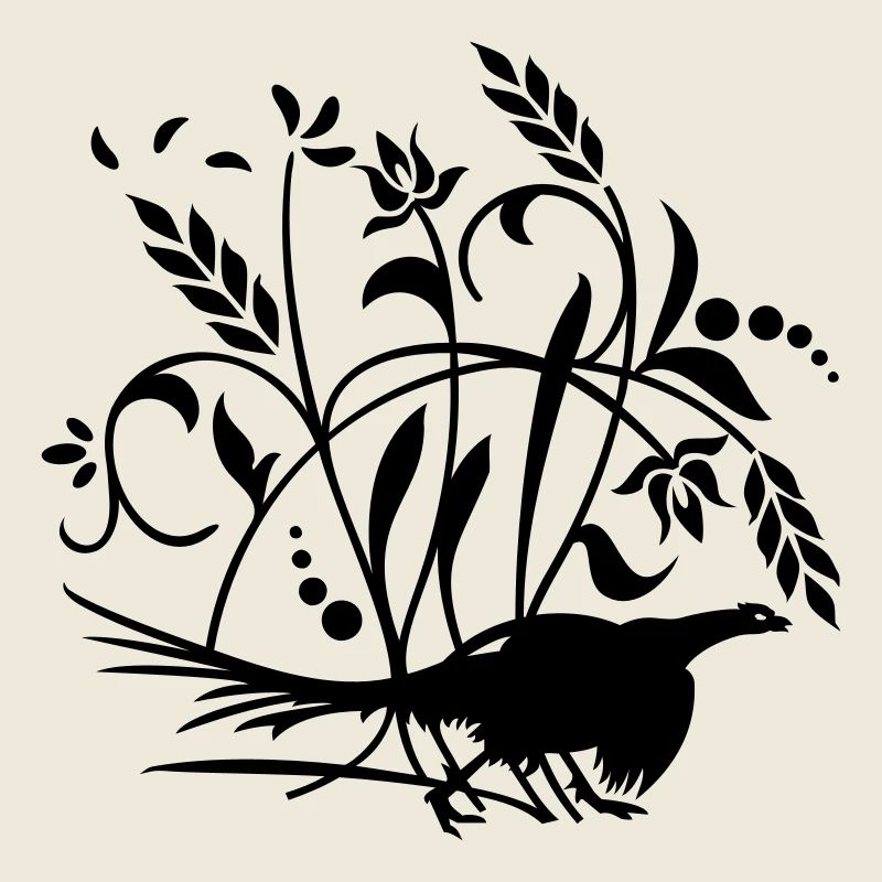 Fasan im Feld / pheasant n the field (1c)