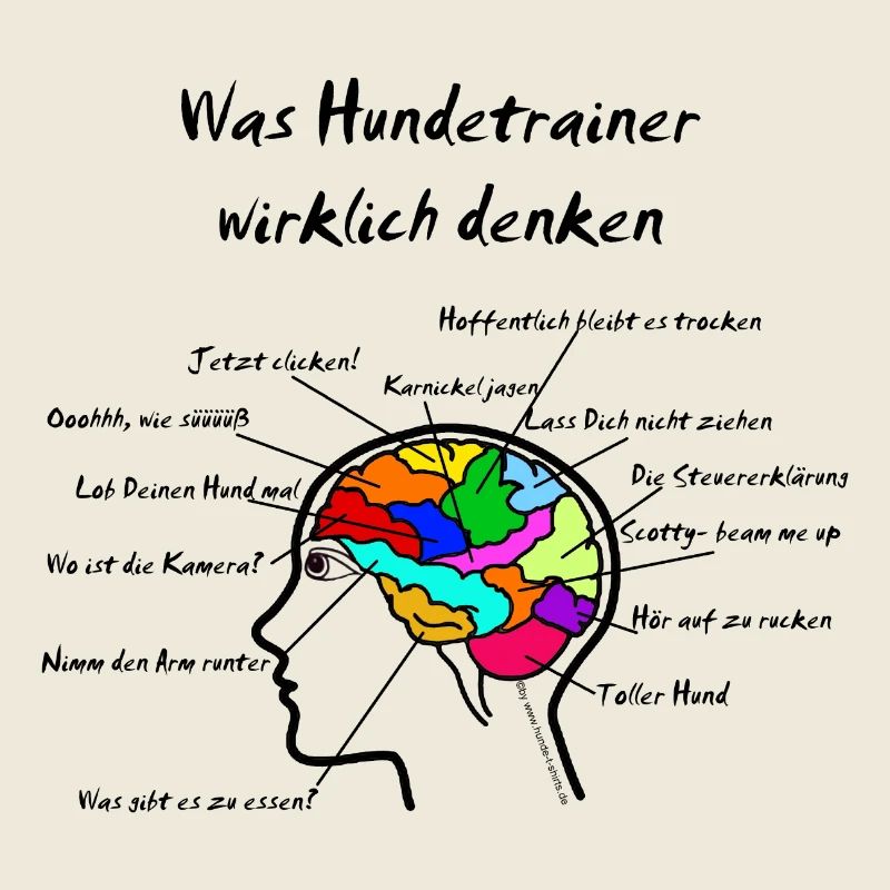 Hundetrainer