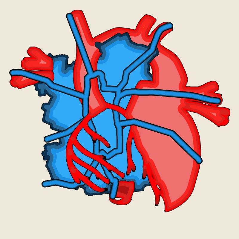 Ich habe ein Boot im Herzen