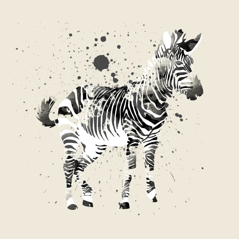 zebra