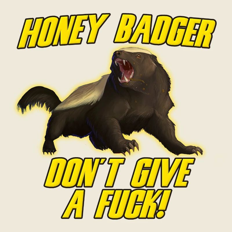 Honig-Dachs geben nicht ein Bumsen