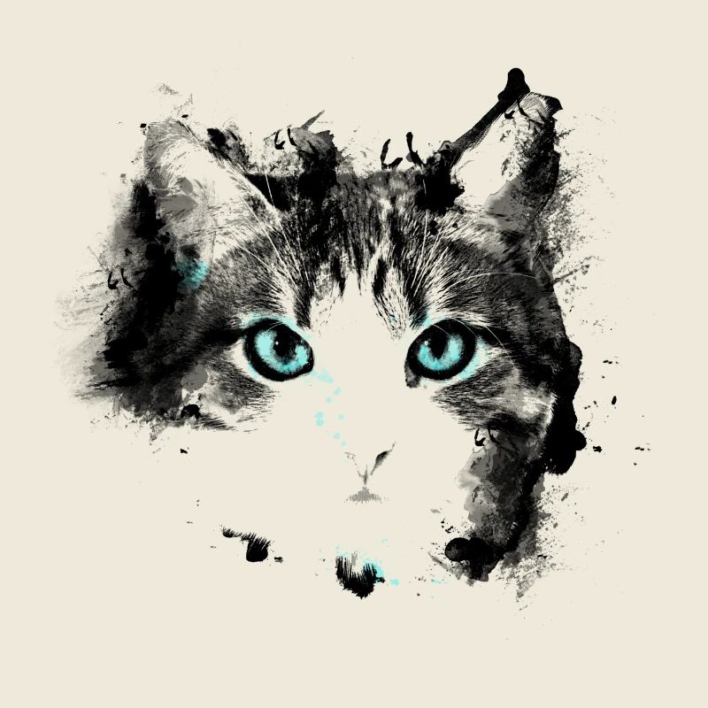 Cat eyes