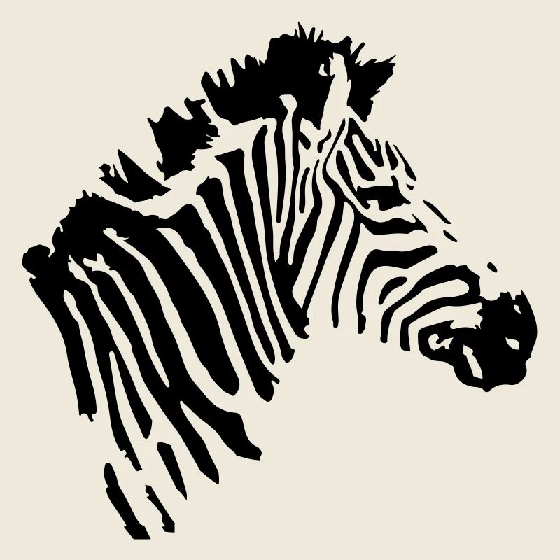 zebra animal