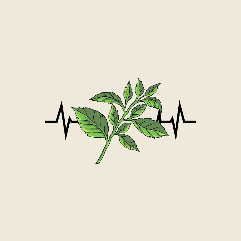 Basilic Herbes Heartbeat