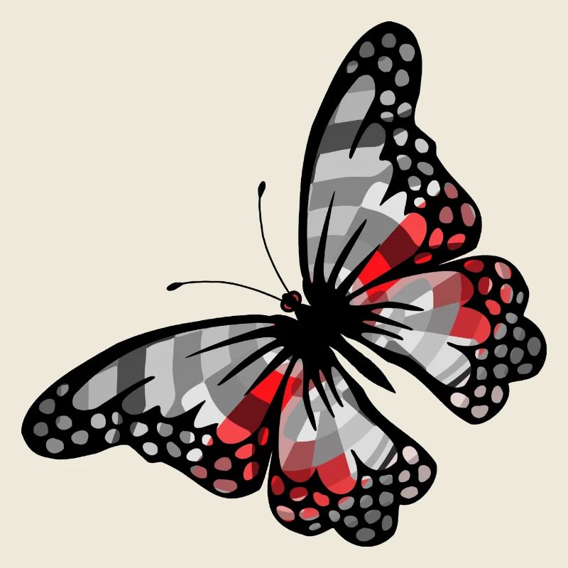 Papillon