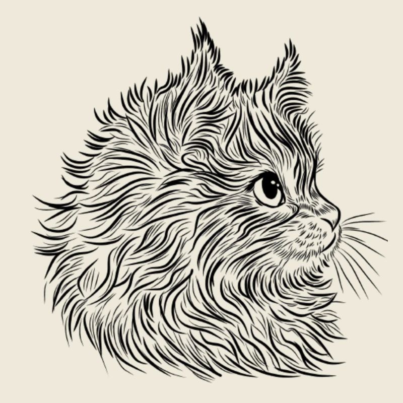 Lineart de chat