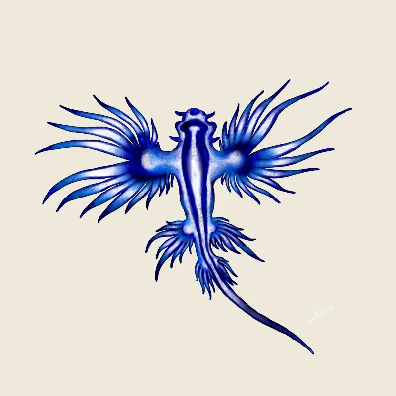 BLUE DRAGON