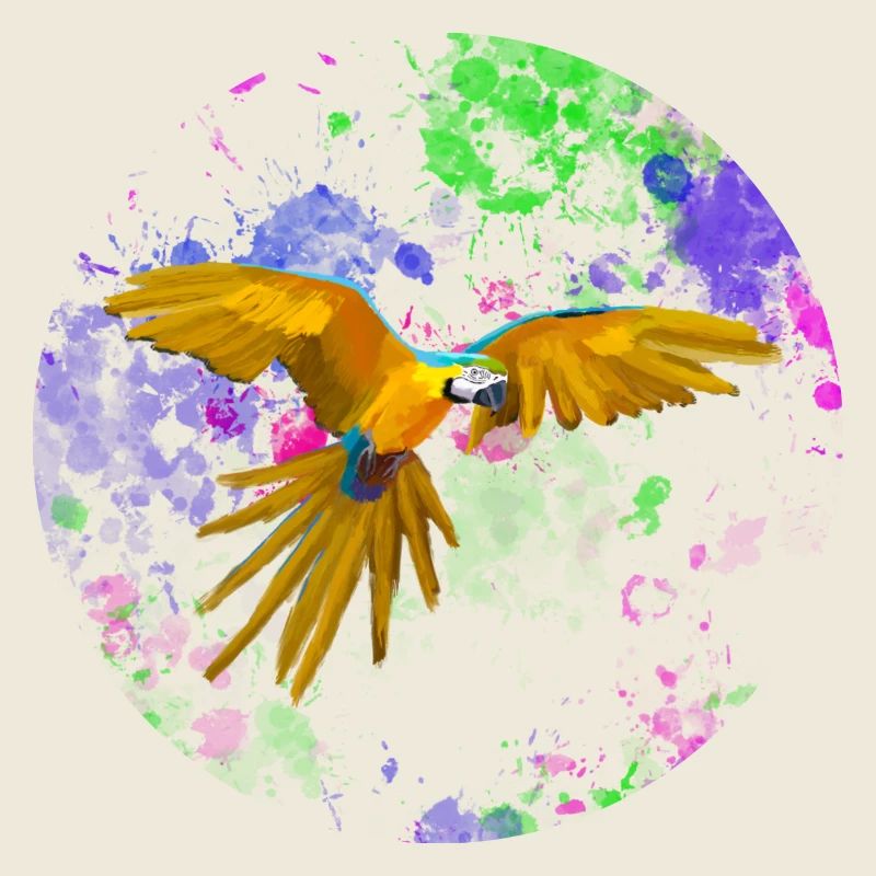 Macaw flight before paint splashes