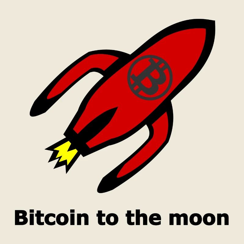 The Journey to the Moon